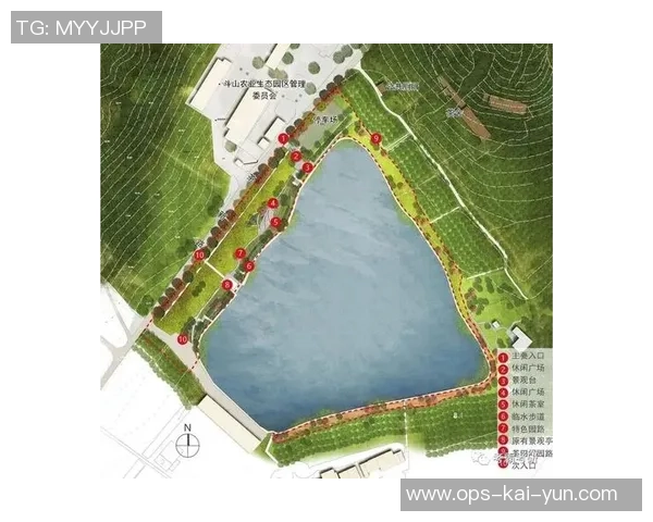 复旦大学足球场周边景观与文化活动探秘之旅